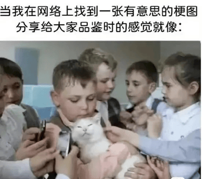 这是一张图文混排的搞笑梗图，上方配有文字“当我在网络上找到一张有意思的梗图分享给大家品鉴时的感觉就像：”，下方是一张真实生活照片，画面里一群孩子围着一只表情惬意享受的白猫，有的孩子抚摸猫咪，有的拿着手机对着猫拍摄。这张图用被众人追捧、享受关注的白猫来比喻分享者找到有趣梗图后，迫不及待将内容展示给大家，期待自己发现的趣味内容被众人关注、品鉴的心情，生动又贴切地表现了分享者想让自己的趣味发现被认可、被热议的心态，充满了日常的搞笑感。