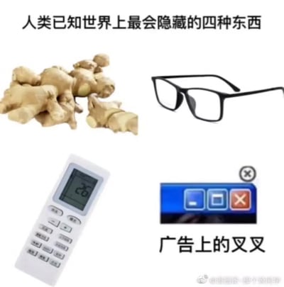 本图以搞笑方式盘点了“人类已知世界上最会隐藏的四种东西”：生姜、眼镜、空调遥控器以及广告界面上的关闭按钮（叉叉）。这四件东西都因现实生活中经常“找不到”而成为网友调侃和共鸣的对象。最后一个“广告上的叉叉”暗指一些网页广告故意隐藏关闭按钮，令人头疼。

本图含有典型的网络幽默和生活调侃，没有涉及双关或谐音梗，但“广告上的叉叉”有一定暗示，调侃网络广告设计故意让人难以关闭。