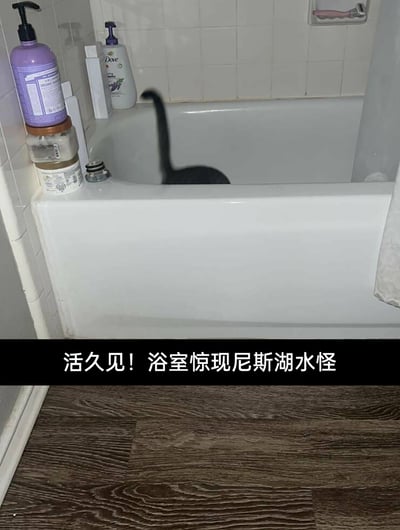 这是一张拍摄于浴室的趣味照片，画面中白色浴缸内仅露出一只黑猫的尾巴和一小部分背部，浴缸边缘摆放着几瓶洗护用品。图片底部配有文字“活久见！浴室惊现尼斯湖水怪”，利用视觉错觉将只露出局部的黑猫调侃为传说中的尼斯湖水怪，通过日常场景与奇幻传说的反差，制造出幽默搞笑的效果，属于宠物相关的趣味玩梗内容。