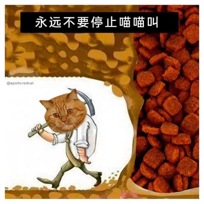 这是一张创意合成的趣味静态图，画面背景是一袋被打开的猫粮，袋内装满了棕色的猫粮颗粒；画面中心是经过P图合成的形象——将橘猫的头部与扛着镐子的矿工身体结合，这只“橘猫矿工”迈步前行，仿佛正在“开采”袋中的猫粮。图片顶部有黑色背景的白色文字“永远不要停止喵喵叫”，左侧偏上位置带有作者水印“@apollo.redcat”。作品通过拟人化的猫咪“打工”场景，隐喻打工人为了获取“口粮”（薪资）不停劳作的日常，用猫咪的“喵喵叫”对应打工人的坚持，充满自嘲感与趣味性，容易引发打工人的共鸣。
