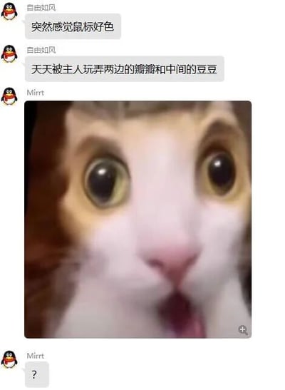 这是一张QQ聊天记录截图，用户“自由如风”用拟人和带有暗示性的趣味表述调侃鼠标，将鼠标的左右按键比作“两边的瓣瓣”，滚轮比作“中间的豆豆”，描述鼠标被主人频繁使用的状态，表述带有双关的调侃意味。用户“Mirrt”看到这段发言后，发送了一张眼睛瞪大、嘴巴微张、表情震惊错愕的猫咪图片，随后又发送了一个问号，以此表达对这段调侃发言的惊讶与疑惑。