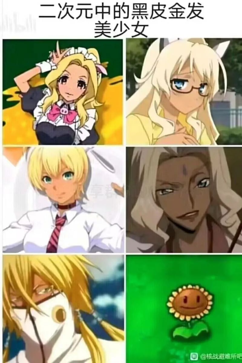 向日葵