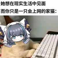 柴犬