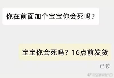 这是一段充满搞笑误解的聊天记录截图：上方对话者要求对方在发货提醒前加上“宝宝”，表述为“你在前面加个宝宝你会死吗？”；下方回复者错误理解了语句断句，将“宝宝”加在了问句里，回复出“宝宝你会死吗？16点前发货”，完全偏离了原本的要求，形成了荒诞的搞笑效果。
笑点在于对语句断句的错误理解，把要求加前缀的指令误解为修改问句内容。