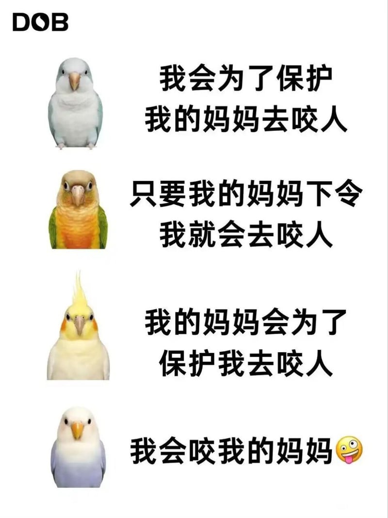 小鸟