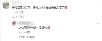 这是一张社交媒体评论区的静态截图，包含两条用户发布的评论。第一条评论来自浙江用户，改编了经典古诗“春蚕到死丝方尽”，将其改写为“春残到死丝芳尽”，搭配悲伤表情，调侃自己在努力描绘伤春的情绪，该评论获得4个点赞与1条回复；第二条评论是福建用户对第一条评论的回应，使用网络谐音用语“byd”（指代“逼养的”），表示这条改编的评论很有“味道”，自己没忍住发笑，搭配流汗表情。截图中用户头像做了马赛克处理，整体为纯文字类的社交媒体评论内容。