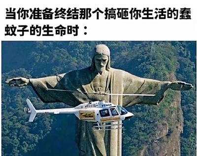 这是一张充满幽默感的网络梗图，图上方配有文字“当你准备终结那个搞砸你生活的蠢蚊子的生命时：”，下方主体是巴西里约热内卢的基督救世主雕像实拍照片，一架直升机恰好飞行在雕像的双臂之间，通过视觉错位效果，让直升机看起来像是被雕像“握在手中”，仿佛是要动用这个“巨型装备”去对付烦人的蚊子。图中用这种极度夸张的画面，将人们被蚊子骚扰后想要彻底消灭蚊子的强烈情绪放大，以微小的蚊子和“巨型武器”的反差感制造出荒诞搞笑的效果，精准戳中人们日常被蚊虫困扰的共鸣点。
