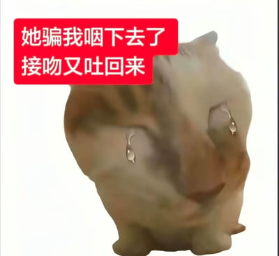 整张图为搞笑表情包，背景为纯白色，主体是经过模糊处理的橘色猫咪侧脸，猫咪脸颊两侧有两滴泪珠特效，神态看起来极度委屈、崩溃无奈。图片左上角配有红色底白色字的文字“她骗我咽下去了 接吻又吐回来”，用夸张的表述吐槽恋爱中遭遇的离谱尴尬事件，风格诙谐有梗，适合用来表达被坑、无奈崩溃的情绪。