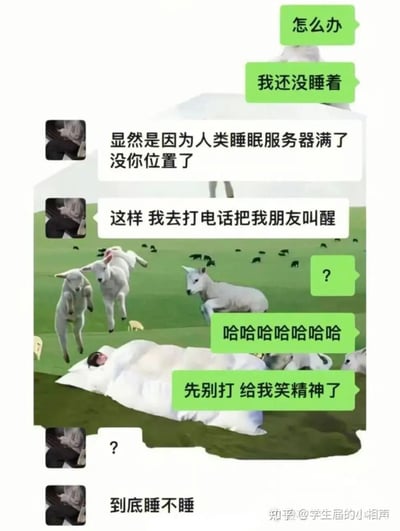 这是一张合成的趣味聊天记录截图，背景是AI生成的“床上数羊”场景，画面里有人躺在床上，周围是跳跃的羊群。聊天中用户表示自己失眠睡不着，对方玩梗称“人类睡眠服务器满了没你位置”，还提出要打电话叫醒朋友来腾出“睡眠位置”，这种荒诞的逻辑把用户逗得更精神了，整个对话充满脑洞和搞笑氛围，用离谱的解决方式制造出轻松欢乐的效果。