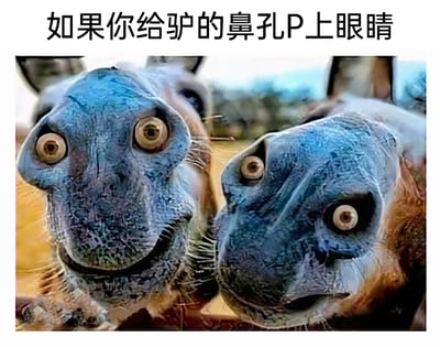 这是一张充满趣味创意的P图作品，图片上方配有文字说明“如果你给驴的鼻孔P上眼睛”。画面主体是两头驴的脸部特写，创作者通过图像合成技术，将人类的眼睛P在了驴的鼻孔位置，原本的驴脸与新添加的眼睛结合后，形成了类似怪异人脸的视觉错觉：左侧的驴结合眼睛后呈现出带着诡异微笑的滑稽神态，右侧的驴则展现出眼神错愕、表情怪异的模样，整体画面荒诞滑稽，利用视觉错位和P图手法制造出强烈的反差感，以此达到搞笑的效果，这类作品常作为趣味梗图在网络社交平台传播。