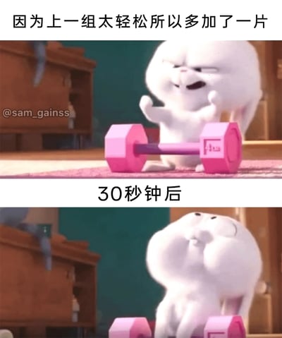 这是一张由动画截图拼接而成的搞笑梗图，分为上下两部分。上方配文“因为上一组太轻松所以多加了一片”，画面中是动画《爱宠大机密》里的白色兔子雪球，它神态轻松自信，面前放着一个粉色哑铃，看起来对即将进行的举重动作胸有成竹；下方配文“30秒钟后”，雪球的神态变得痛苦不堪，身体向后仰，一副被哑铃重量压得快要撑不住的样子。这组图生动又搞笑地还原了不少健身爱好者盲目增加训练重量，很快就力不从心的真实经历，容易引发健身人群的共鸣。
