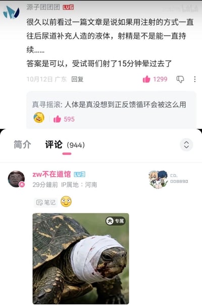 图片为社交媒体评论区截图，分为上下两部分。上部分是用户“源子团团”发布的评论，内容为讨论一个关于通过尿道注射人造液体实现持续射精的猎奇实验，称受试人员持续15分钟后晕倒。下方有其他用户回复“人体是真没想到正反馈循环会被这么用”。下部分是另一条评论，用户“zw不在道馆”发布了一张头部受伤的乌龟图片，乌龟头部缠着白色纱布，纱布上有血迹，图片右上角有“专属”标识。