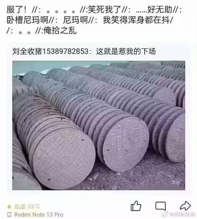 这是一张社交媒体截图，内容分为上下两部分：上方是多条网友评论，包含“服了！”“笑死我了”“俺拾之乱”等激动又搞笑的发言，表达了看到内容后的好笑、无奈情绪；中间是用户“刘全收猪15389782853”的配文“这就是惹我的下场”；下方是一张视觉错位照片，圆形井盖被整齐排列，从特定角度拍摄后，井盖的边缘弧度连成了类似蛇身的曲线，制造出井盖变成蛇的视觉错觉，用来整蛊调侃。
其中“俺拾之乱”是方言化的表达，意为“我把它弄成这样乱摆的”，是网友对井盖排列的调侃。