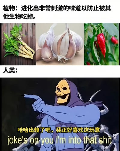 图片上半部分文字为“植物：进化出非常刺激的味道以防止被其他生物吃掉”，下方配有三张植物图片，从左到右分别是带绿叶的根茎类植物（疑似山葵或生姜）、剥开的大蒜和挂在枝头的红辣椒。下半部分文字为“人类：”，下方是动画角色Skeletor的形象，他戴着紫色兜帽，露出骷髅脸，表情狞笑，右手食指指向前方，下方配有文字“哈哈出糗了吧，我正好喜欢这玩意 joke's on you i'm into that shit”。整体通过对比植物的防御机制与人类对辛辣味的喜爱，制造出幽默讽刺的效果。