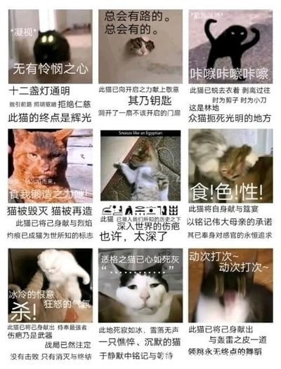这是一张九宫格形式的图文混排梗图，每一格都搭配了一张真实的猫咪照片，并用充满中二、史诗感的夸张文案重新解读猫咪的普通日常行为：将黑猫的黑暗凝视赋予“无有怜悯之心”的冷酷设定，把猫咪伸懒腰的动作解读为“向开启之力献上敬意，洞开不该开启的门扉”，把猫咪舔毛的行为描述为“将自身献与筵宴，铭记伟大母亲的承诺”，用严肃宏大的文字和猫咪可爱日常的强烈反差制造搞笑效果，没有双关、谐音梗等内容。