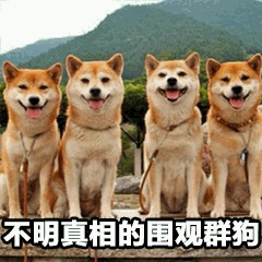 不明真相的围观群狗