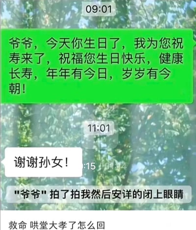 这是一张竖屏格式的微信聊天记录静态截图，内容是孙女与爷爷的生日互动：9点01分，孙女给爷爷发送了真挚的生日祝福，内容为“爷爷，今天你生日了，我为您祝寿来了，祝福您生日快乐，健康长寿，年年有今日，岁岁有今朝！”；11点01分爷爷回复“谢谢孙女！”，随后出现微信拍一拍的提示内容："爷爷"拍了拍我然后安详的闭上眼睛。截图底部还有配文“救命 哄堂大孝了怎么回”，拍一拍的自定义后缀内容和祝寿的温馨场景形成强烈反差，制造出尴尬又搞笑的“哄堂大孝”社死效果，属于利用微信拍一拍功能玩梗的搞笑内容。