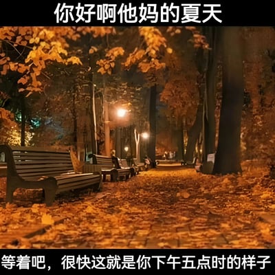 图片展示了一条夜晚的林荫道，道路两旁是挂满金黄叶子的树木，地面铺满落叶，路灯散发着温暖的光芒，长椅静静置于道旁，营造出秋日宁静氛围。图片顶部有文字“你好啊他妈的夏天”，底部文字为“等着吧，很快这就是你下午五点时的样子”，通过秋日景象与夏日文字的反差，幽默表达对夏日炎热的调侃，暗示夏日午后的疲惫或状态如同萧瑟秋日。