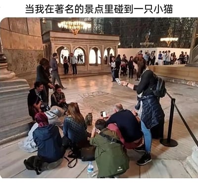 这张图片呈现了极具反差感的一幕：在一处有着精美大理石地面、复古华丽建筑装饰的著名历史景点室内，原本应该被游客关注的古迹区域门可罗雀，而一只普通的小猫却成为了绝对的焦点。一群游客或蹲或跪，团团围在小猫身边，所有人都将手机对准小猫，专注地拍照、录像，完全沉浸在“吸猫”的乐趣中，生动展现出可爱小动物对游客的吸引力远超历史古迹的有趣场景，配上顶部的文字，精准戳中了当代人喜爱萌宠的心态。