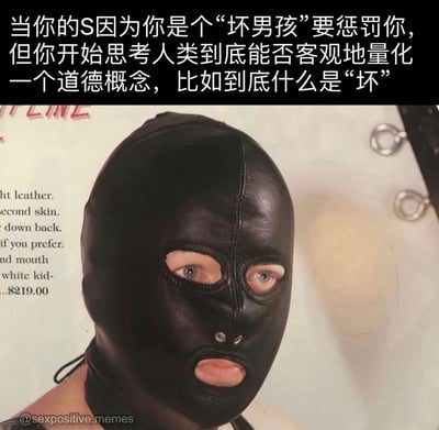 图片上方是黑色背景的白色文字：'当你的S因为你是个"坏男孩"要惩罚你，但你开始思考人类到底能否客观地量化一个道德概念，比如到底什么是"坏"'。下方是一个戴着黑色皮革头套的人，背景中有部分英文产品描述文字。图片通过反差幽默，将BDSM场景与深奥的哲学思考并置，创造出荒诞搞笑的效果。