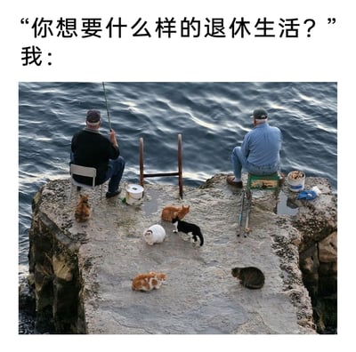 这是一则表达理想退休生活的图文内容，上方以文字提问“你想要什么样的退休生活？”，下方图片给出了具象的答案：两位老人坐在临海的粗糙石台上，一位持杆垂钓，一位静坐看海，石台上围绕着七只形态各异的猫咪，有的趴卧休息，有的相互追逐玩耍，海面泛起粼粼波光，整体氛围宁静治愈、悠闲惬意，完美展现出一种远离城市喧嚣，与自然、小动物相伴的慢节奏退休生活，戳中了很多人对闲适养老状态的向往。