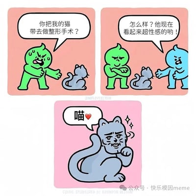 这是一张三格连环漫画，主要讲述了一个搞笑故事：绿色角色愤怒地质问蓝色角色是否带自己的猫去做了整形手术，蓝色角色得意地表示猫咪现在看起来超性感，最后一格展示了做完整形的猫咪带着拟人化的性感表情说"喵❤️"。