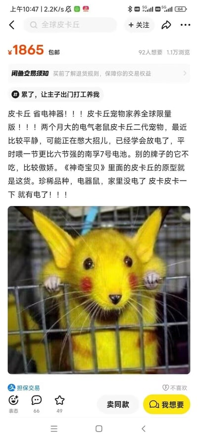 这是一张闲鱼平台的二手商品售卖截图，卖家发布了一个充满恶搞趣味的整活商品：将一只被P成皮卡丘外观的真实老鼠，伪装成《神奇宝贝》里的皮卡丘，以1865元包邮的价格“出售”。文案玩梗称这是“全球限量版二代电气老鼠皮卡丘宠物”，已经学会放电，只吃南孚7号电池，家里没电了还能供电，用荒诞的设定和P图制造出搞笑的整活效果，属于网友的趣味创作。
无特殊双关、谐音梗，主要通过打破次元壁的恶搞形式制造笑点。