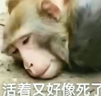 这张梗图选用一只瘫趴在地面、眼神涣散的猴子，搭配底部文字‘活着又好像死了’，反用‘活人微死’的流行语原意，调侃当下部分人虽然处于活着的状态，但精神萎靡、毫无活力，如同‘行尸走肉’的躺平心态，精准戳中当代人疲惫、倦怠的情绪痛点。
注：‘活人微死’本意为形容人或账号鲜活自然、反模板化的状态，此图为该热词的反向衍生创作。
