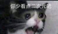 图中是一只表情激动、张大嘴巴的真实猫咪，神态抓狂，像是在大声咆哮。画面上方配有白色文字“你少看点二次元吧”，用猫咪抓狂的神态来生动表达对他人沉迷二次元的吐槽，语气带着无奈又抓狂的情绪，适合用来调侃身边过度沉迷二次元的朋友。