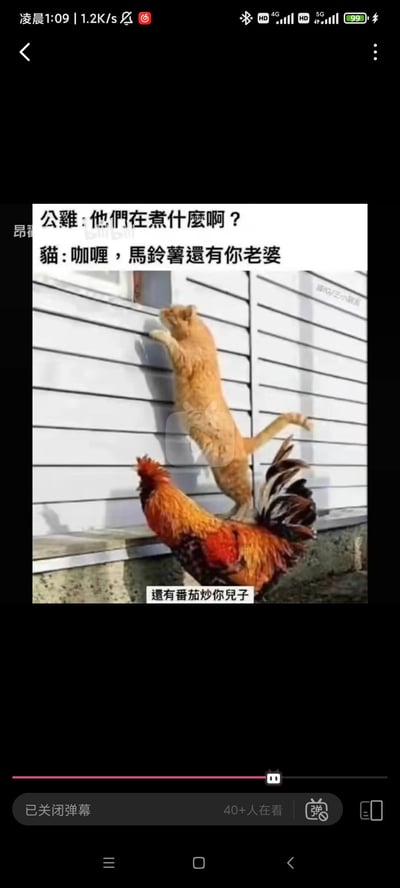 这是一张带有恶搞对话的搞笑梗图，画面呈现一只橘猫扒在白色墙面上，后腿搭在下方的公鸡身上，搭配了趣味对话：
公鸡：他们在煮什么啊？
猫：咖喱，马铃薯还有你老婆
下方补充：还有番茄炒你儿子

这个梗通过谐音和黑色幽默的方式，将料理食材与公鸡的家人关联——“你老婆”暗指母鸡（鸡肉），“番茄炒你儿子”暗指炒鸡蛋，用动物视角制造荒诞搞笑的效果，让普通的动物照片变成充满笑点的段子。