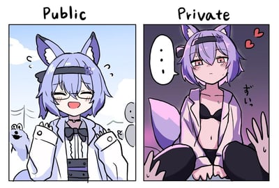 这是一张左右分栏的反差梗图：左栏标注“Public”（公开），场景是明亮的户外，一位紫发狐娘戴着眼镜，穿着正式的白色制服套装，开心地大笑，双手抬起做出可爱的姿势，周围还有路人形象，氛围轻松活泼；右栏标注“Private”（私下），场景昏暗，这位狐娘穿着黑色内衣和敞开的浅色外套，脸红流汗，眼神带着害羞，旁边有爱心符号和日文语气词“ずい”，还有一只手出现在画面右侧，表现出和公开场合截然不同的害羞、局促的状态，通过强烈的场景和形象反差，突出角色的反差萌特质。