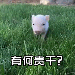 小猪疑惑问'有何贵干?'