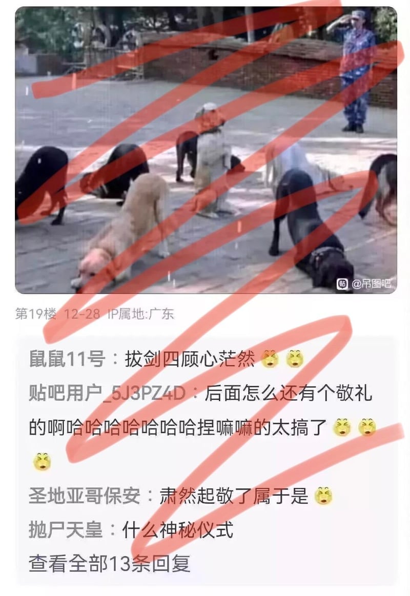 用户自制合成图