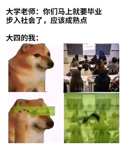 这是一张四格对比梗图，通过幽默方式展现大学老师对即将毕业学生的期望与学生真实状态的反差。上方文字为"大学老师：你们马上就要毕业步入社会了，应该成熟点"，下方标注"大四的我："。配图分为四个部分：左上角是一只表情平静的柴犬；右上角是真实的大学课堂场景，老师正在讲台上讲课；左下角是同一只柴犬，但眼睛上放了一把绿色尺子当作眼镜，营造出假装成熟的滑稽感；右下角是绿色滤镜处理过的教室场景，暗示学生视角下的模糊与迷茫。