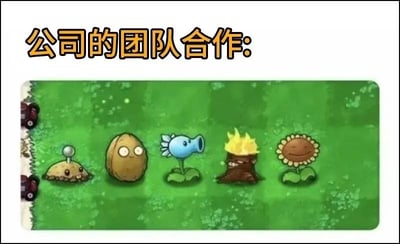 这是一张吐槽职场团队协作的梗图，顶部配有橙色描边的文字“公司的团队合作:”，下方是经典塔防游戏《植物大战僵尸》的草地作战场景，从左到右依次摆放了土豆雷、坚果墙、寒冰射手、火炬树桩、向日葵五个游戏内植物。该植物搭配在游戏中属于无效配置：寒冰射手射出的冰属性子弹经过火炬树桩后会被转化为普通火焰子弹，丧失原本的减速效果，完全浪费了寒冰射手的特性，这张图以此讽刺很多公司的团队合作看似每个岗位的人员都配置齐全，实际岗位安排十分不合理，无法发挥各成员的优势，属于无效协作。