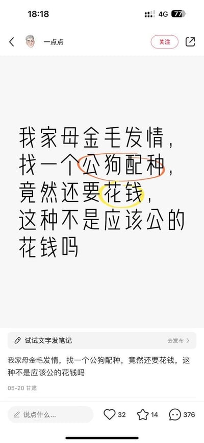 社交媒体用户“一点点”发布的文字笔记，内容为自家母金毛发情后寻找公狗配种，却被要求付费，对此表示疑惑“这种不是应该公的花钱吗”。文中“公狗配种”被红色圆圈标注，“花钱”被黄色高亮。帖子下方显示发布时间为05-20甘肃，互动数据为32赞、14收藏、376评论。