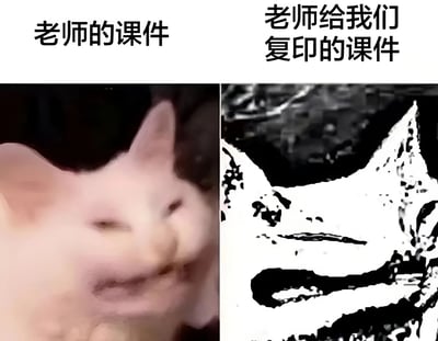 这是一张左右对比的搞笑 meme 图，通过猫咪图像的清晰度差异调侃课件复印质量问题。左侧上方文字为“老师的课件”，下方是一张清晰的粉色猫咪面部特写，猫咪眯着眼睛，表情可爱柔和；右侧上方文字为“老师给我们复印的课件”，下方则是同一只猫咪的高度模糊版本，呈现出黑白噪点、轮廓失真的效果，如同经过多次劣质复印后的文档。图片通过夸张的画质对比，幽默地反映了学生群体中常见的“原版课件清晰，复印版模糊不清”的生活体验。