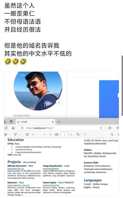 图片上方是中文评论，称虽然这个人看起来像外国人，母语法语且经历很法国，但他的域名显示中文水平不低。下方是一份英文简历截图，显示这是一位名叫erwanvivien的法国计算机专业人士，简历中列出了他的教育背景、项目经验和技能。浏览器地址栏显示简历来自域名xiaoba.dev，这是一个中文域名。