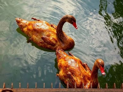 这是一张经过PS合成的恶搞图片。画面中两只水禽正在绿波荡漾的池塘里游动，水面倒映着天光与右侧的树木倒影，底部露出一排木质围栏。然而它们的身体并非真实羽毛，而是被替换成了表皮金黄焦脆、油光发亮的整只烤鹅（或烤鸭），翅膀、腿爪都呈现出烤制后的深褐色质感；与之拼接的却是真实黑天鹅的深棕色弯曲脖颈、红色喙部和白色喙尖。上方一只位于画面中上部，头颈朝右下方低垂；下方一只位于画面右下角，头颈同样朝向右下方。两者组合形成“烤熟的鹅还在水里游泳”的荒诞视觉效果，利用真实水禽照片与美食图像的拼接制造强烈的违和感与幽默感。