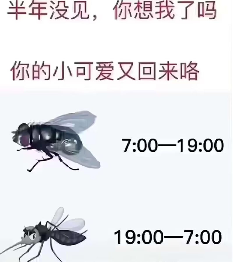 真实动物（卡通绘制）