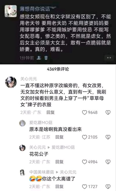 这是一张竖版社交媒体截图，上半部分是深色模式下的原帖，下半部分是白色背景的评论区。发帖人“薄想荷你说话”吐槽女频网文创作中出现的机械改词和人物限制现象，例如“老天爷”被改成“老天奶”、“婆婆妈妈”被改成“嗲嗲爹爹”、“嫉妒”被改成“忮忌”，并认为女配不能写得恶毒或悲惨、女主不能表现脆弱，否则会被贴上“虐女”或“娇妻”等标签。评论区显示共有4369条评论。网友“关心元元”留言说，原本不理解随意给原字改偏旁、把女字旁改成男字旁或凭空加女字旁的做法，直到刷文时看到男主穿着一件“草草母女”牌子的衣服。另一位网友“爱吃蘑MO菇”询问原本是什么词，“关心元元”回答“花花公子”。最后“中国美味蘑菇”用笑哭表情评价“你这个太离谱了”。笑点在于品牌名“花花公子”被荒诞地机械替换成“草草母女”：“花花”变成“草草”，“公子”则被反转为“母女”，夸张呈现了生硬敏感词改写造成的违和感。