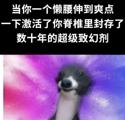 这是一张顶文配图形式的网络流行表情包，上方为黑底白字的文字区域，配文夸张形容伸懒腰伸到爽点时的感受如同激活了脊椎里封存的致幻剂，下方配图是一只表情恍惚、带着诡异微笑的狗子，背景为粉紫蓝渐变的迷幻星云效果，十分生动地夸张表现了人伸懒腰到极致舒爽时精神恍惚的状态，很容易引发大众的日常共鸣。