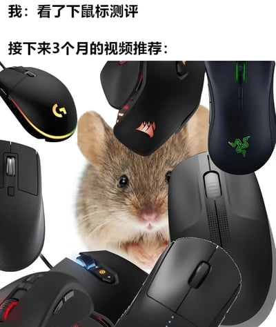 图片上方文字为“我：看了下鼠标测评”和“接下来3个月的视频推荐：”，中间是一只表情无辜的真实老鼠，周围环绕着多个品牌的电脑鼠标（包括罗技G系列、海盗船、雷蛇等）。通过幽默的方式调侃了在观看鼠标测评后，推荐算法会在长时间内持续推送相关内容的现象。