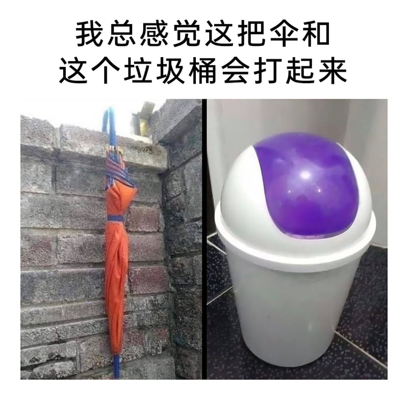 弗利萨