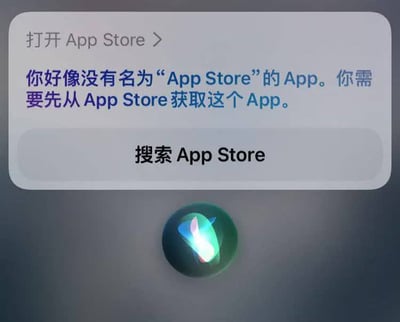 这是一张苹果iOS系统Siri语音助手的界面截图，用户要求打开App Store后，Siri给出了逻辑矛盾的错误提示：告知用户没有名为“App Store”的App，需要先从App Store获取这个App，还提供了“搜索App Store”按钮。正常情况下App Store是iOS系统自带的基础应用，这个错误提示形成了荒诞的逻辑闭环，是系统出现的bug，充满戏剧性的矛盾感。