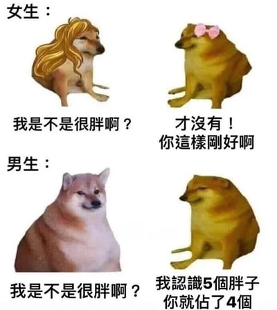 这是一张由四张Doge柴犬表情包拼接而成的连环搞笑图，整体分为上下两个板块，分别对应男女询问体重的场景。上半板块中，左侧是戴着金色长发的柴犬，配文“我是不是很胖啊？”，表现出女生对自己体重的不自信；右侧是戴着粉色蝴蝶结的柴犬，配文“才没有！你这样刚好啊”，是对女生的安慰式回应。下半板块中，左侧是体型肥胖的柴犬，配文“我是不是很胖啊？”，表现出男生对自己体重的疑问；右侧是斜眼的柴犬，配文“我认识5个胖子你就占了4个”，用夸张的调侃回应男生，形成了强烈的反差，讽刺了在体重话题上对男女的双标态度，充满搞笑趣味。