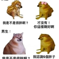 柴犬