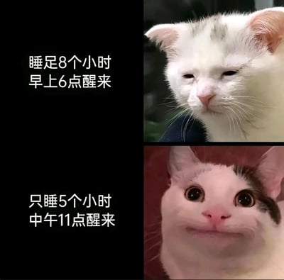 这是一张上下拼接的对比类梗图，上方展示了一只眼皮耷拉、神情萎靡的猫咪，搭配文字“睡足8个小时 早上6点醒来”，表现出即便睡够时长但早起带来的疲惫感；下方则是一只眼睛圆睁、神态亢奋的猫咪，搭配文字“只睡5个小时 中午11点醒来”，体现出睡眠时间短但晚起带来的精神状态。图中用两只猫咪的强烈表情反差，精准调侃了当代人在睡眠作息上的真实体验，引发共鸣。