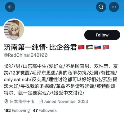 这是一张X（原Twitter）平台的用户个人主页截图，用户昵称为“济南第一纯情·比企谷君”，ID为@RedChina1949100。该用户标注自己是16岁山东男高中生，在资料中详细列出了自身的性取向（双性恋、支持跨性别）、思想倾向、个人癖好、交友要求、兴趣爱好等信息，还引用了革命相关语句，标注所在地为日本我孙子市，2023年11月加入平台，目前关注182人，拥有47名粉丝。资料中包含大量个人化标签，风格直白且个性鲜明，只接受中文讨论。