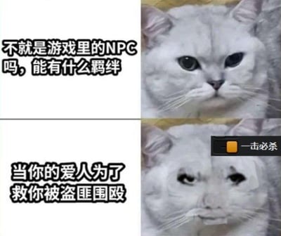 该图为上下两格的对比式梗图，上方左侧文字写着“不就是游戏里的NPC吗，能有什么羁绊”，右侧是一只表情平静的白色猫咪；下方左侧文字为“当你的爱人为了救你被盗匪围殴”，右侧猫咪表情转为悲伤，右下角还配有“一击必杀”的按钮图标。通过猫咪表情的反差，幽默地展现了人们对游戏NPC“无情感羁绊”的刻板印象，在代入“爱人”身份后产生的情感转变。